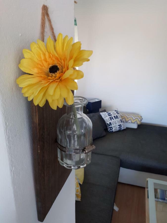Apartman Zvoncica Vrsi Luaran gambar